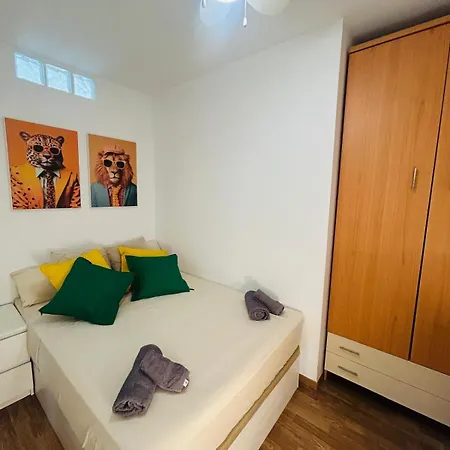 Centro Nogalera Apartment